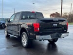 2019 F-150 Thumbnail 5