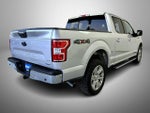 2019 F-150 Thumbnail 5