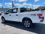2020 F-150 Thumbnail 4