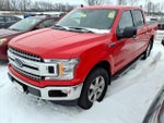 2019 F-150 Thumbnail 2