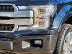 2019 F-150 Thumbnail 8