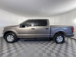 2019 F-150 Thumbnail 5