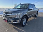 2019 F-150 Thumbnail 4