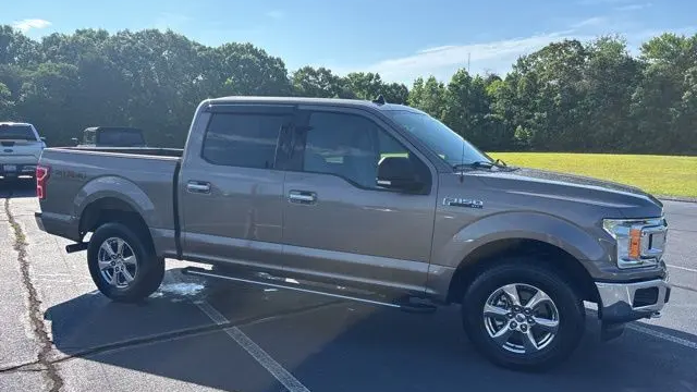 Preowned 2019 Ford F-150 XL for Sale