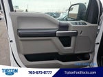 2019 F-150 Thumbnail 4