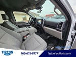 2019 F-150 Thumbnail 19