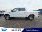 2019 F-150 Thumbnail 29