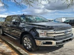 2019 F-150 Thumbnail 2