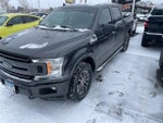 2019 F-150 Thumbnail 2