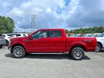 2020 F-150 Thumbnail 2