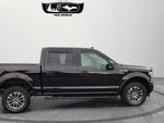 2020 F-150 Thumbnail 7