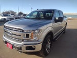 2020 F-150 Thumbnail 2