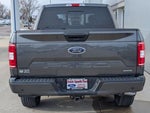 2020 F-150 Thumbnail 4