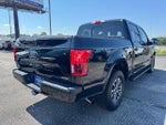 2019 F-150 Thumbnail 3