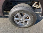 2019 F-150 Thumbnail 13