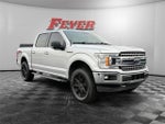 2019 F-150 Thumbnail 7