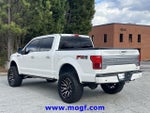 2019 F-150 Thumbnail 2
