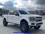 2019 F-150 Thumbnail 4