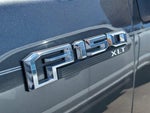 2019 F-150 Thumbnail 5