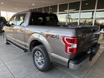 2019 F-150 Thumbnail 6