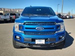2019 F-150 Thumbnail 6