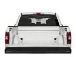 2019 F-150 Thumbnail 12