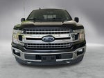 2019 F-150 Thumbnail 12