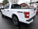 2019 F-150 Thumbnail 4