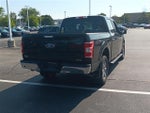 2019 F-150 Thumbnail 6
