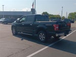 2019 F-150 Thumbnail 8