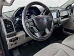 2019 F-150 Thumbnail 24