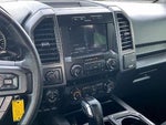2019 F-150 Thumbnail 6