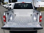 2019 F-150 Thumbnail 18