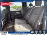 2019 F-150 Thumbnail 8