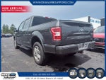 2019 F-150 Thumbnail 4