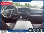 2019 F-150 Thumbnail 7