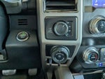 2020 F-150 Thumbnail 19