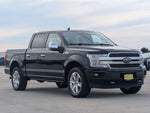 2020 F-150 Thumbnail 4