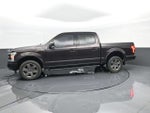 2020 F-150 Thumbnail 5