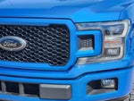 2020 F-150 Thumbnail 8