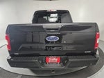 2020 F-150 Thumbnail 13