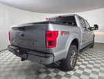 2020 F-150 Thumbnail 13
