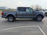 2019 F-150 Thumbnail 5