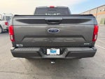 2019 F-150 Thumbnail 8