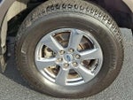 2019 F-150 Thumbnail 8
