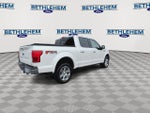 2019 F-150 Thumbnail 8