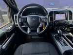 2019 F-150 Thumbnail 7