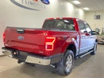 2019 F-150 Thumbnail 7