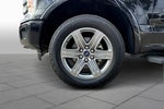 2019 F-150 Thumbnail 9