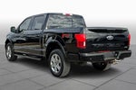 2019 F-150 Thumbnail 10